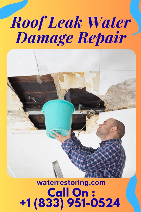 Roof Leak Water Damage Repair in Rockford, MN